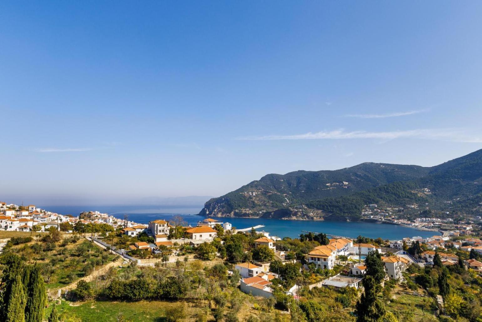 Villa Aloupi Σκόπελος Εξωτερικό φωτογραφία
